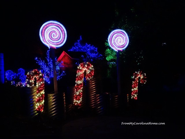 Winter Lights at the NC Arboretum ~ From My Carolina Home