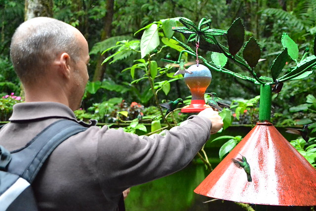 Etapa 7. Monteverde (Selvatura, canopy+ colibrís) - Ruta de 17 días por Costa Rica con niña de 7 años (5)