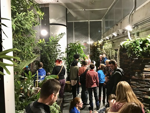 Inside the Canadian Museum of Nature live butterfly exhibition