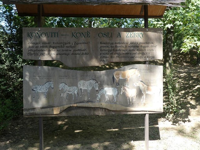 Zoo Brno