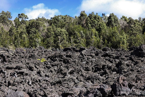 hawaii hawaiivolcanoesnationalpark keanakāko‘i luamanu chainofcratersroad lavaflows buried road fissure eruption aa basalt aaflow geology wyojones np