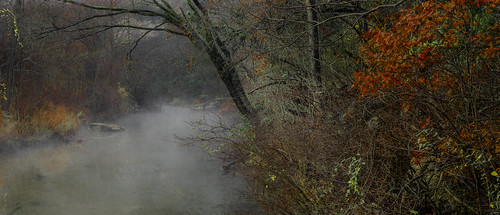 fog foggy mist misty mistymorning creek stream trees forest colors colorful red orange bullcreek austin texas texashillcountry