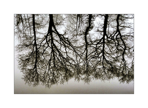 bretagne brittany hautebretagne canaldilleetrance chevaigné reflets reflection arbres trees illeetvilaine