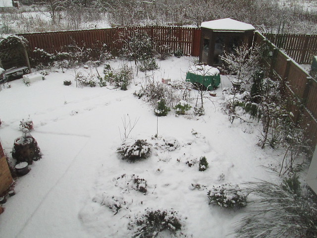 Winter garden 1