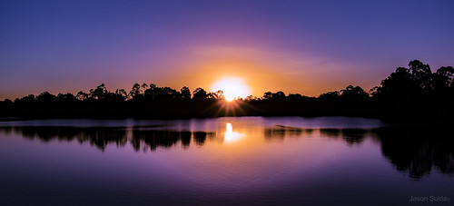 forest lake brisbane queensland australia landscape sun set