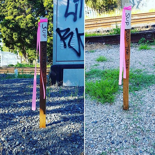 Survey pegs for the &quot;Shared-use path&quot; from Galbally reserve to Oakleigh station