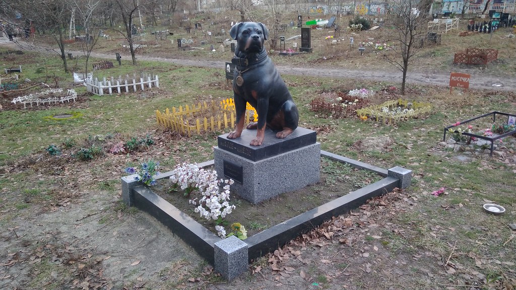 Кладбище домашних животных в Киеве (фото): pauluskp — LiveJournal