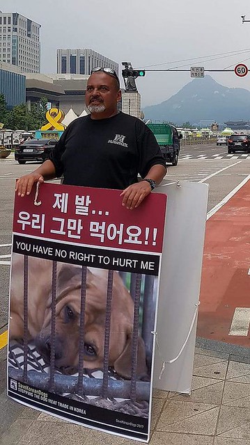 Rudy Gallardo protesting against the South Korea's dog meat cruelty - July 2017