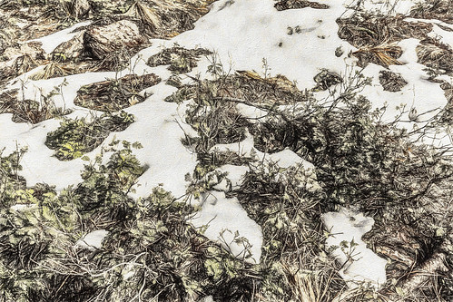 america california campnelson jfflickr mountain painting photosbydavid plant postedonflickr rock snow tularecounty unitedstates usa