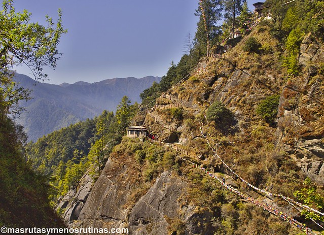 Por los monasterios y bosques de BUTAN - Blogs de Bhutan - Paro: de los tigres voladores a los perros ladradores (10)