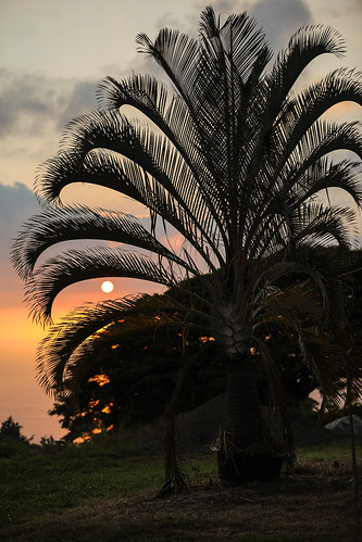 hawaii hillside captaincook konacoast kealakekua sunset palmtree sun wyojones np