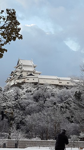 wakayama wakayamajocastle castle snowcover snow japan