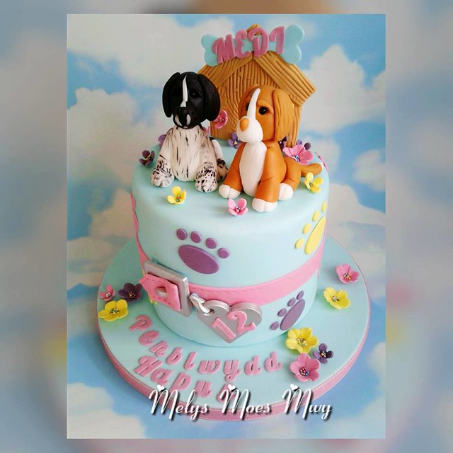Dog Themed Cake by Melys Moes Mwy