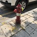 Incheon Fire Plug