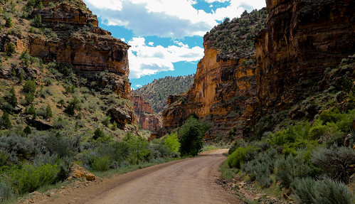 ninemilecanyon nine mile canyon utah duchesnecounty landscape travel explore