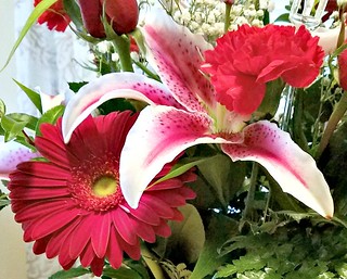  This Year Gift A Teleflora Valentine's Day Bouquet