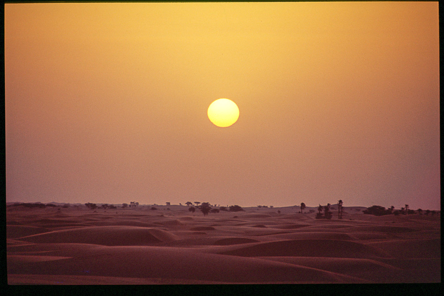 Chinguetti, rêve de désert - Carnet de voyage en Mauritanie