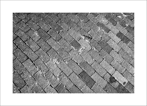 brick street texture surface contrast pattern blackandwhite bw art olympus olympusomd em1markii zuiko 12100mmf4zuiko zd micro43