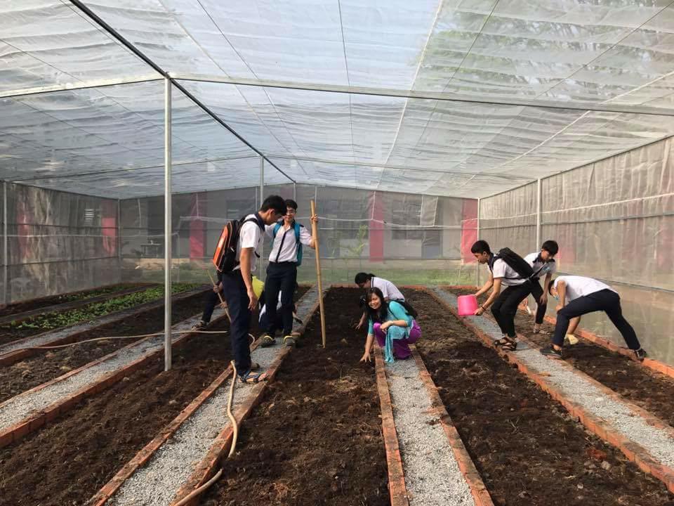 Trường Thpt Nguyễn Hữu Tiến thực hiện "Dự án Vườn trường"