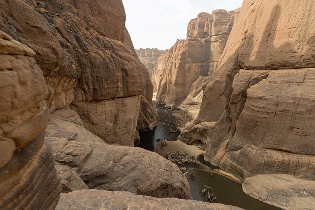 Guelta d’Archei, Ennedi, Chad