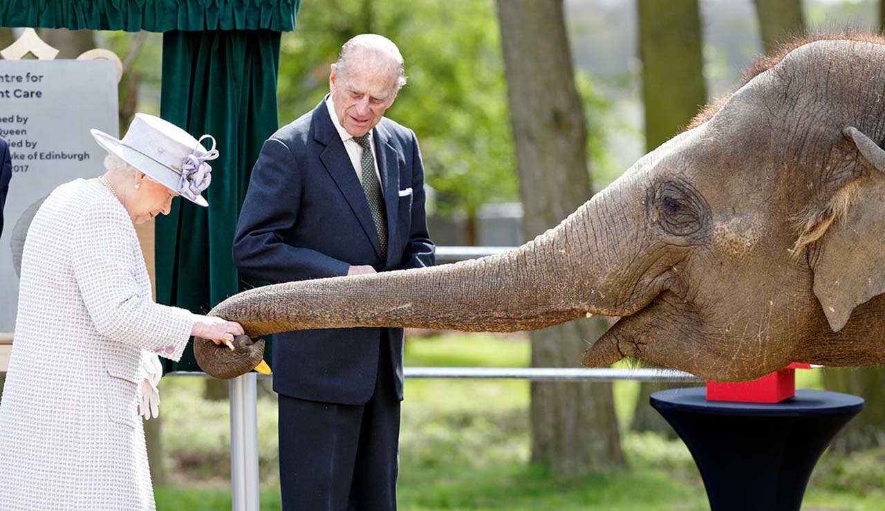 22 Photos From 2017 That Tell A Story: Queen Elizabeth is feeding Donna, a 7-year-old Asian elephant, with bananas along with Prince Philip at the opening of the new Centre for Elephant Care at UK’s biggest zoo, ZSL Whipsnade.
