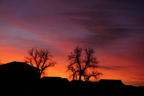 sunrise dawn cottonwoodtree cottonwood rooftops silhouette redsky trees morning whennightbecomesday limbs branches leaflesstree coloradodawn coloradosunrise atardecer amanecer