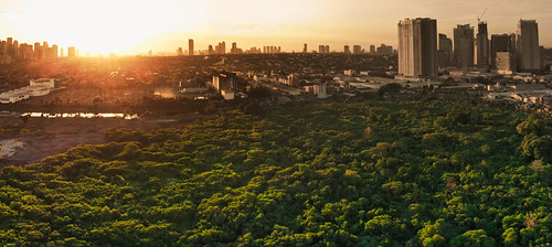 green field city air dji sunset fly
