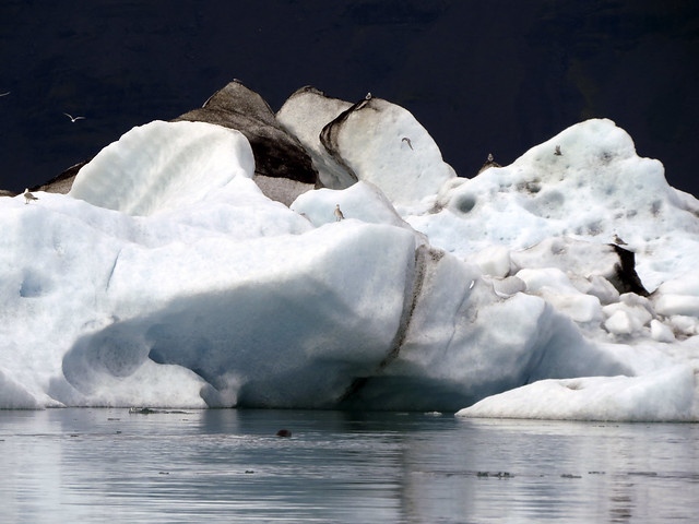 Los grandes glaciares del Sur (Sur de Islandia IV) - ISLANDIA: EL PAÍS DE LOS NOMBRES IMPOSIBLES (27)