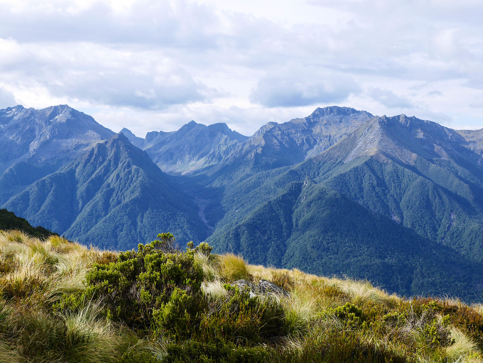 Evening view from the Luxmore Hut