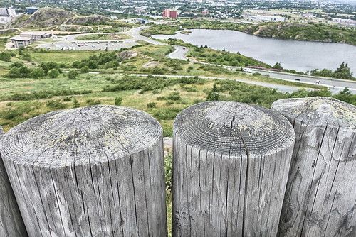view stjohns newdfoundlandandlabrador fence fencefriday green grass water gabih lookout overlook landscape woodenposts