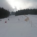 Závodní sjezdovka (1), Adrenalin park (3) – měřený slalom