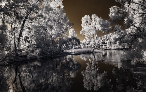 lakejennings infrared infraredphotography ir convertedinfraredcamera water trees sky reflections foliage surreal nature naturalbeauty