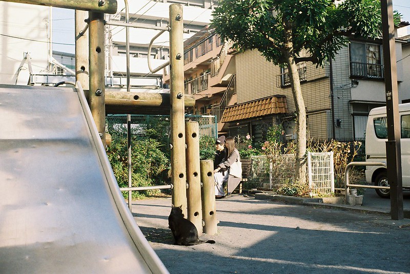 Leica Ⅲf＋Canon serenar 35mm f2 8 Lomography Color Negative 100池袋一丁目児童遊園の猫 黒猫とカップル