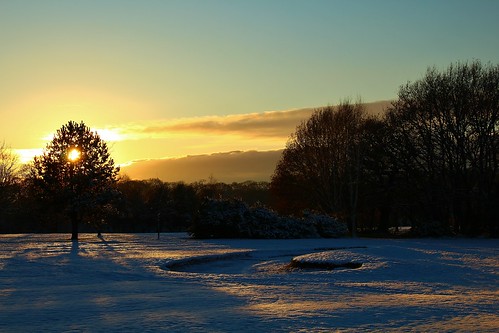 europe england cheshire outdoor nature beauty simplysuperb sunset trees snow sunlight shadows silhouettes winter greatphotographers