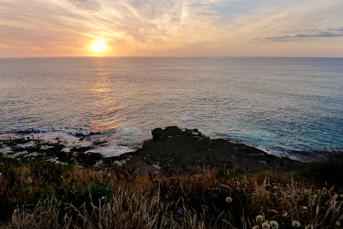 curiobay catlins cliff sunrise summer waves ocean pacificocean southland newzealand
