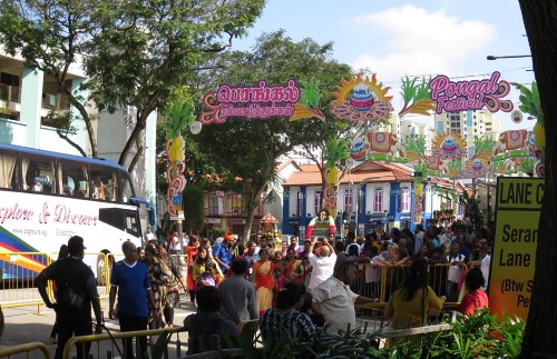 pongal_festival