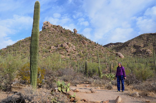 Tucson Gilber Ray Brown Mountain Hike with Linda