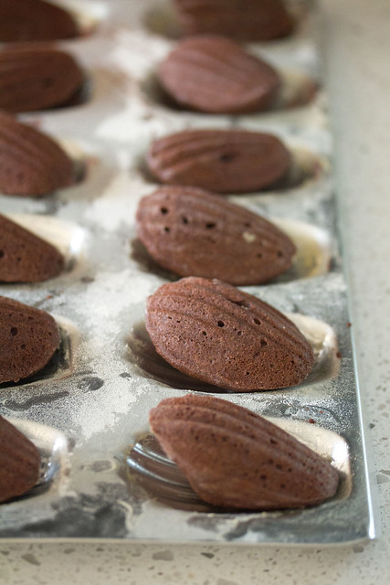 Freshly Baked Spicy Chocolate Madeleines
