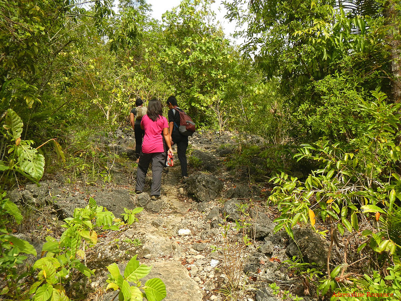 Trail to Mainit Mabugnaw Cave