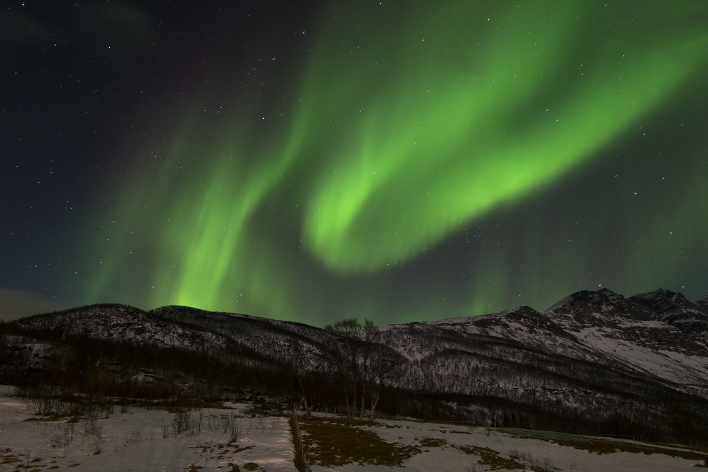 Aurora boreal, Vikran