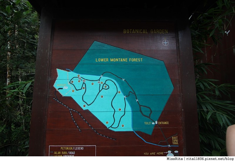 馬來西亞自由行 馬來西亞 沙巴 沙巴自由行 沙巴神山 神山公園 KinabaluPark Nabalu PORINGHOTSPRINGS 亞庇 波令溫泉 klook 客路 客路沙巴 客路自由行 客路沙巴行程12