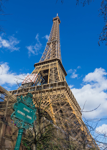 Paris 41 Eiffel Tower
