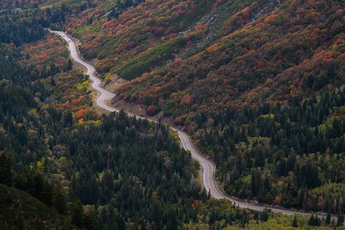 little cottonwood canyon big landscape forest road tree sony alpha ilce 6500 a6500 nikon series e seriese eseries 100mm f28 nature utah snowbird