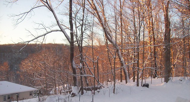 sunrise snowy trees 1