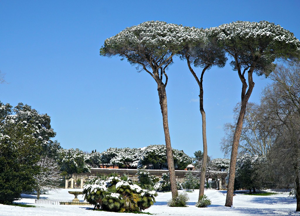 Luminen Villa Pamphili