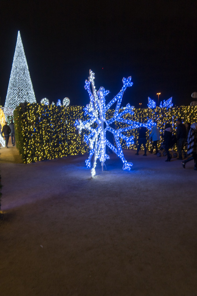 Enchant Christmas Light Display Dallas
