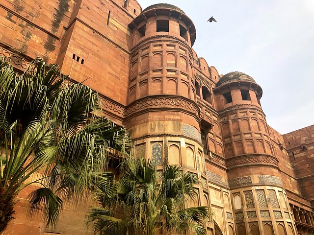 Palace on Wheels, Rajasthan, India, 2018 430