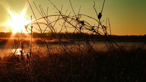 river thorns brush massachusetts pentax sunrise