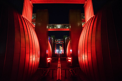 Digester Eggs at night in red