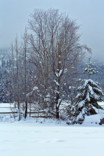kalispell montana landscapes snow winter